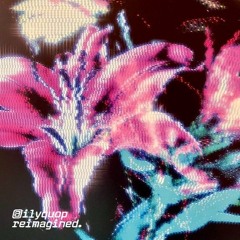p3ran0id - mr u buồn (ilyquop reimagined)