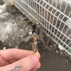 Reagent (Feat. Alwayshighcity) (prod. Classic)