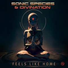 Sonic Species & Divination - Feels Like Home ...NOW OUT!!
