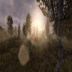 Делай это (hastagsamal)