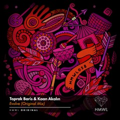 Toprak Baris, Kaan Akalın - Evolve (Original Mix)