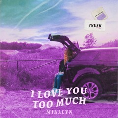 I Love You Too Much (VNUSH Remix)