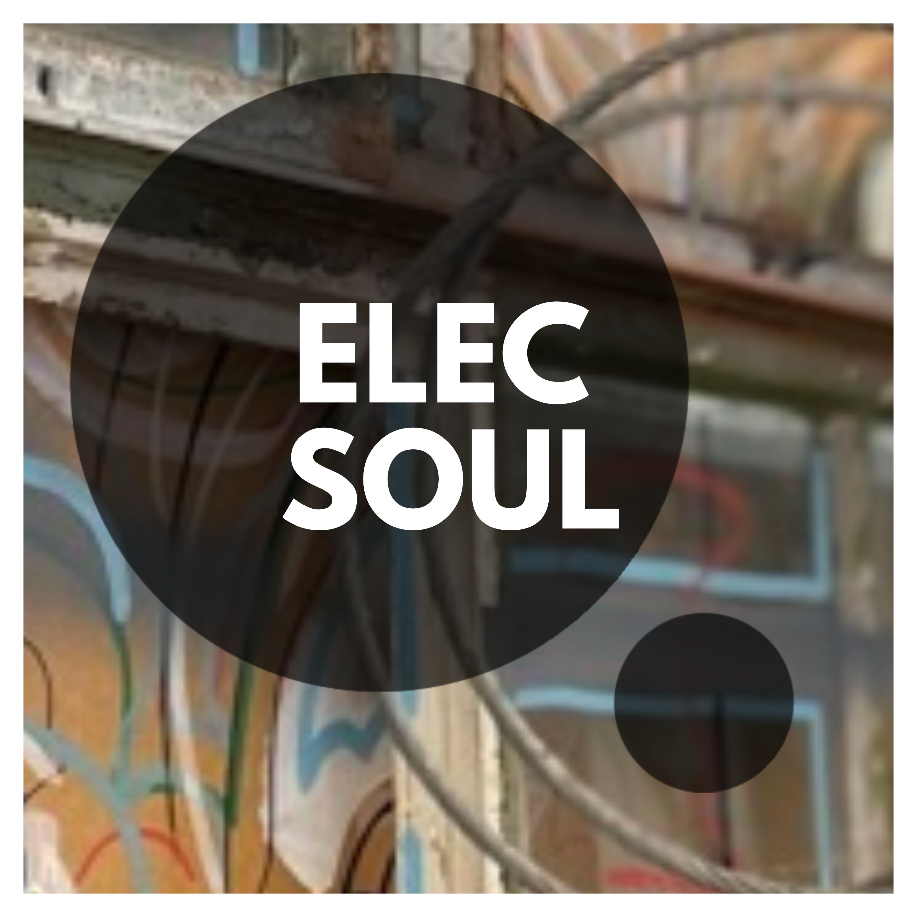 ElecSoul