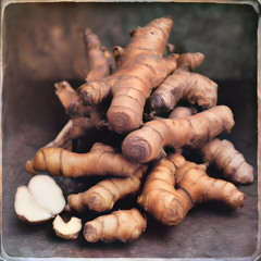 Timeless Ginger