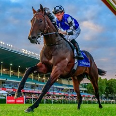 Moir Stakes Night Punting Preview 2023