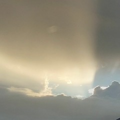 Spring Archive (Unmixed)