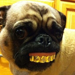mutt (redirect)