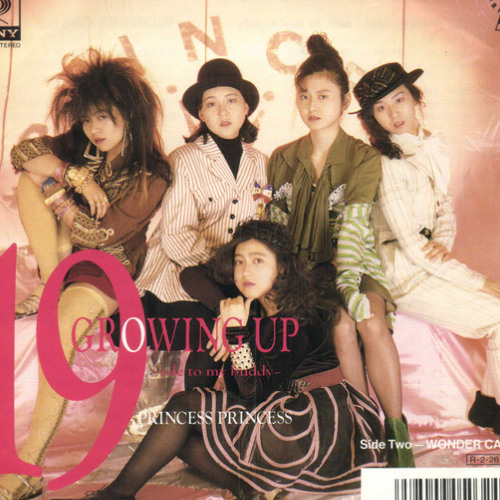 Princess Princess - 19 GROWING UP (FM+PCM Cover)