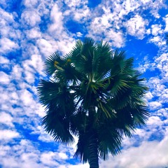 He hath made everything beautiful in its own time