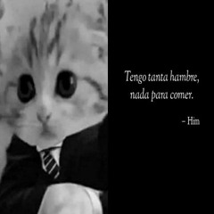 This Cat Is Incredibly Evil Dont Believe What Hes Saying