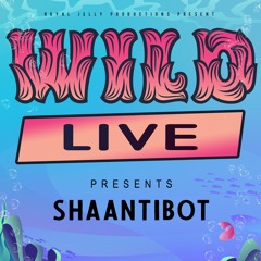 ShaantiBot LIVE @ The Wild Campout HIVE Stage 2020