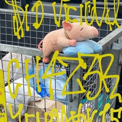 Падонок 15 улицы, CH4Z3R, $ID VICIOU$ - свинарник