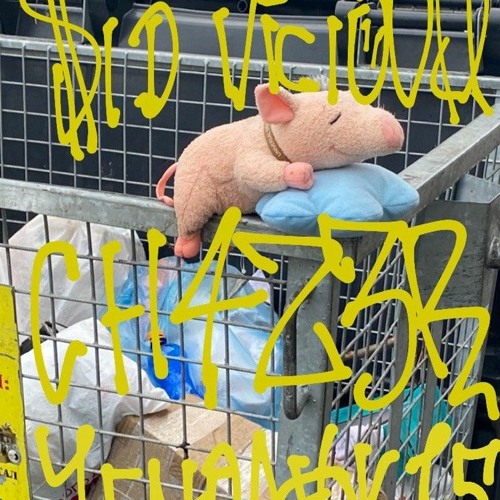 Падонок 15 улицы, CH4Z3R, $ID VICIOU$ - свинарник