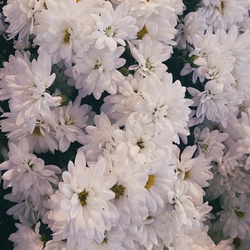 g i r l s - girl in red (slowed)
