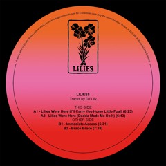 Premiere: DJ Lily - Brace Brace [LILIES5]