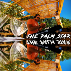 The Palm Star Ibiza Mix 13
