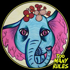Papü - This Is The Life [Too Many Rules]