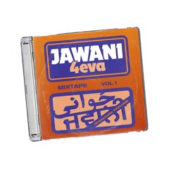 18. Surinder Shinda X Jamie Hai - Reachout If You're Made In Panjab [Rax Edit]