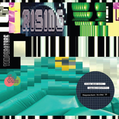 Seeker Dread Theme (feat. Filter Dread)