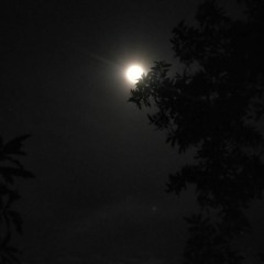 ETERNAL MOONSHINE