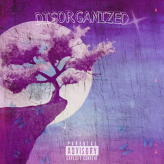 DI$ORGANIZED