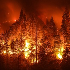 Wildfires