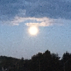 Suge Knight ft. RBLilTonyxKantfwm [p. fwthis1will]