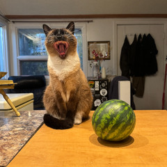 Dan Solo _ Dance Yourself Clean Teaser Mix