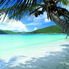 2k25 Samples 1/2 [prod. abyssx]*