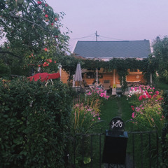 gutten ved gjerdet (taleopptak)