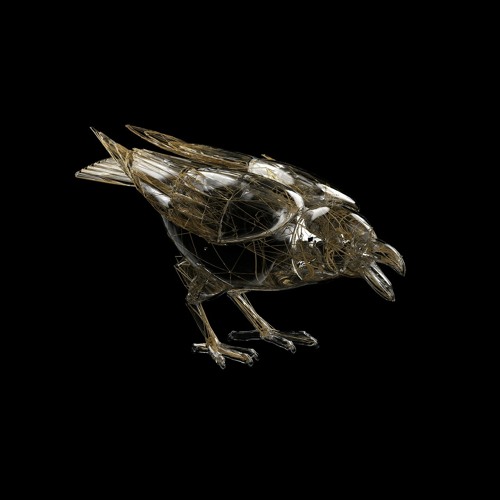 Bones