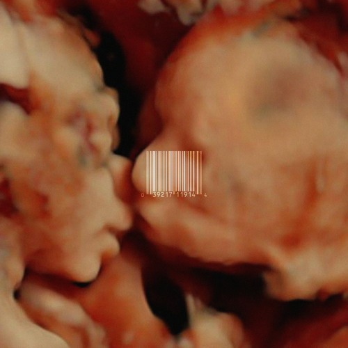 The Parasitic Relationship Between Man and Soundcloud (FULL PROJECT)