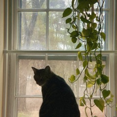 Gifts To Your Future Self (Slohill Remix)