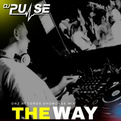 DJ Pulse The Way (DNZ HIT MIX)