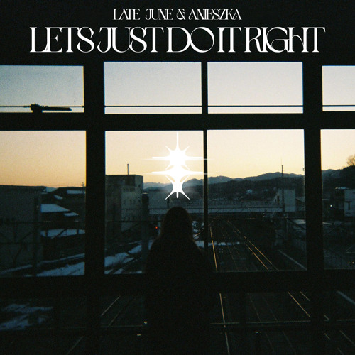 Let's Just Do It Right (feat. Anieszka)