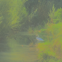 DualSummer - Prod.Walc