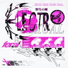 FERAL KIND Mixseries 18 Electrosexual