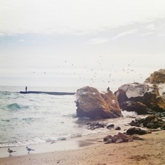 Artem Litovchenko - 17