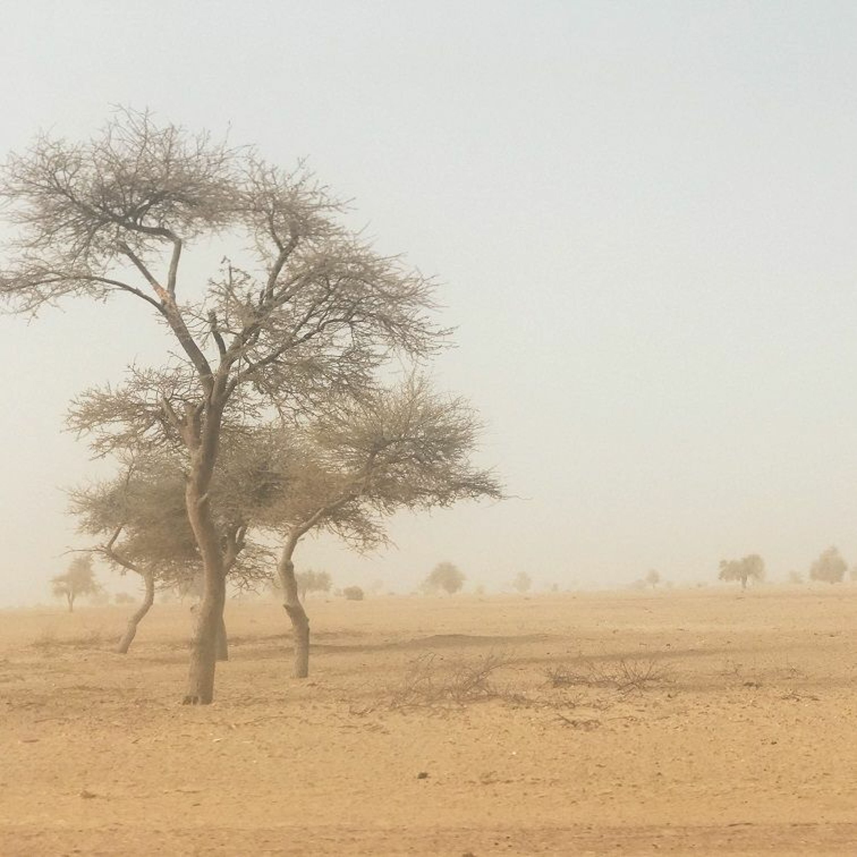 ICRC Humanitarian Law and Policy Blog