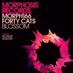 Forty Cats - Blossom (Acidova Remix)