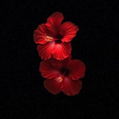 good saturday psy house for you