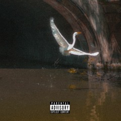 crow calls (ft. DRO)