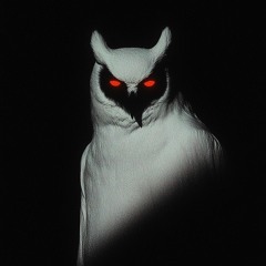 THE WORLD OF IZKIDOW