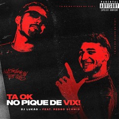 TA OK NO PIQ DE VIX! (Pra ritmar os bailes) feat Pedro Schmid