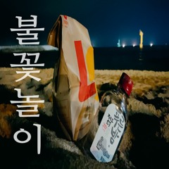 293이거산 - 불꽃놀이 (브이로그 뮤직 / 저작권 없는 음악 / Free Download)