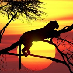 SUNSET OF  AFRICA
