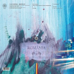 B1. Vlad Arapasu - La Cerveza