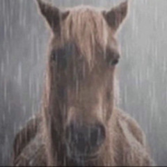 luvcraft w/ace prod jxthrho