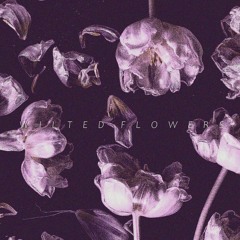INFINITE SPXCE - WILTED FLOWERS