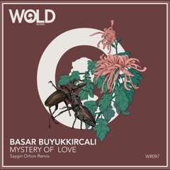 BASAR BUYUKKIRCALI - Mystery Of Love (SAYGIN ORHON Remix)